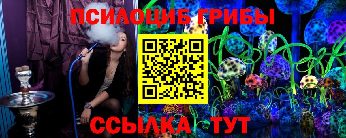 Кировск  Псилоцибиновые грибы прущие грибы  продажа наркотиков  Вход с VPN 