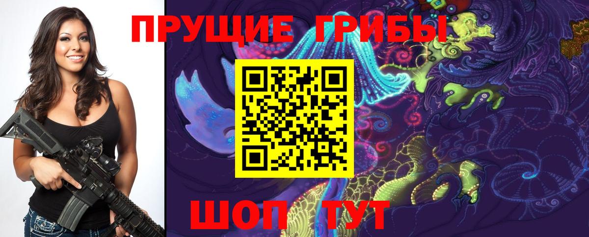 Галлюциногенные грибы Psilocybine cubensis Кировск